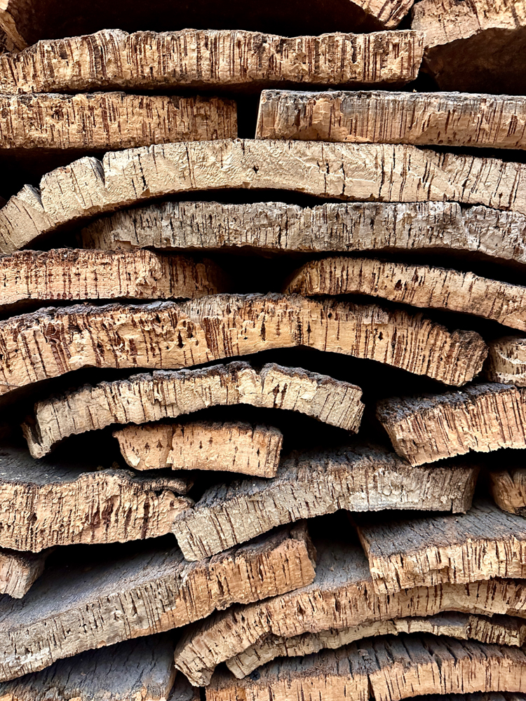 Side view of cork bark from tree.