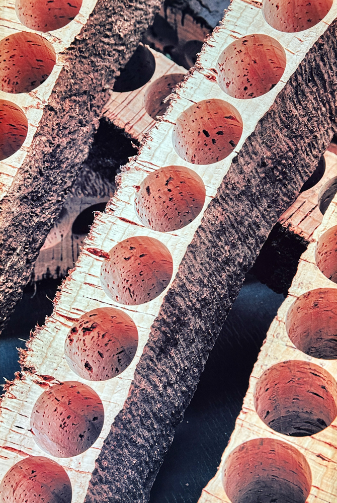 pictures of cork bark with holes punched where the wine corks were removed at the cork museum