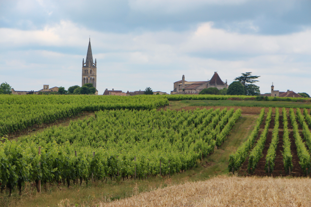 Vineyards and a church in St. Emilion