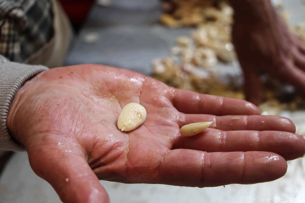 blanched almonds held in a hand