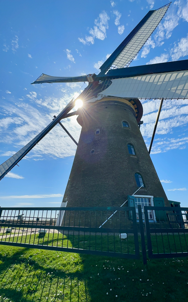 A windmill at Kinderdijk